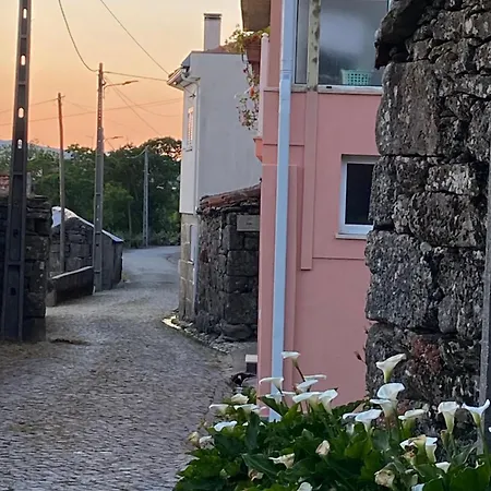 Anjo House